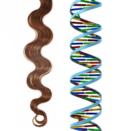 DNA Testing with Forensic Samples