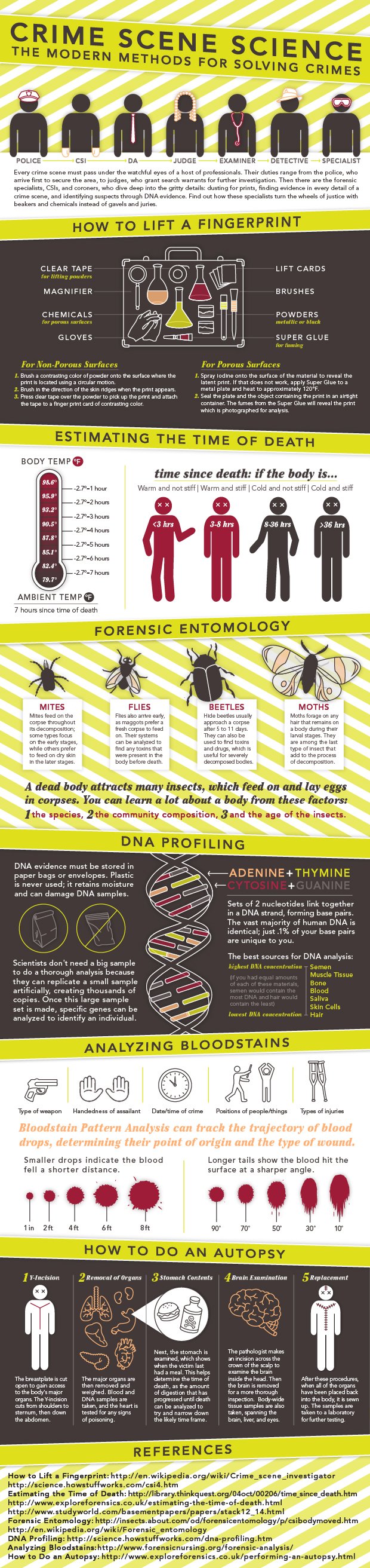 Forensic entomology infographic