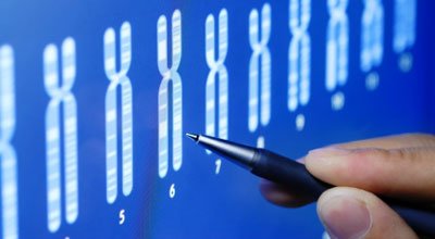 forensic dna testing 2