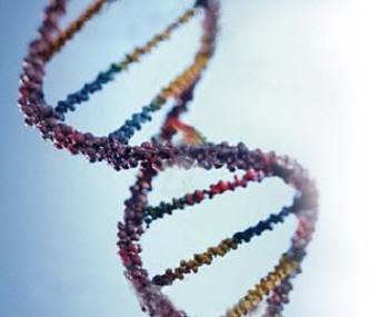 Everything you needed to know about direct consumer genetic testing