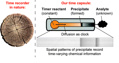 Forensic history of water contamination probed with innovative sensor