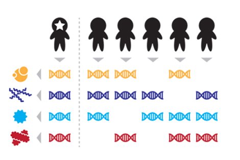 Taken together, DNA sequences from four microbial species distinguish the starred person's microbiome from the microbiomes of five other people Image via hsph.harvard.edu