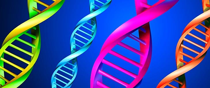 Estimating age from blood and tooth samples: forensics method